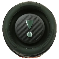 Портативная акустика JBL Charge 5,  Squad, камуфляж