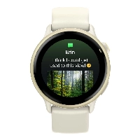 Умные часы Garmin Vivoactive 6, 010-02985-01, Lunar Gold/Bone, бежевый