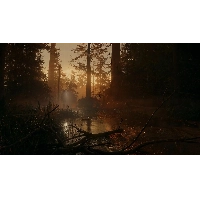 Игра Alan Wake 2 Deluxe для PS5