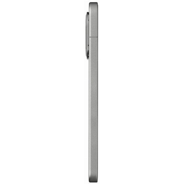 Xiaomi 15T Pro,12/256 Гб, Gray, серый