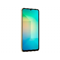 Смартфон SAMSUNG Galaxy A06 4/128 GB Gold