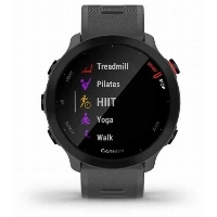 Умные часы Garmin Forerunner 55, 0100256213, Gray