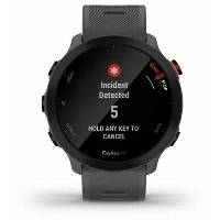 Умные часы Garmin Forerunner 55, 0100256213, Gray