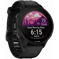 Умные часы Garmin Forerunner 955 Solar, 0100263820, Black