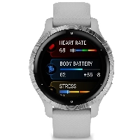 Умные часы Garmin Venu 2S  Bezel with Mist Gray Case and Silicone Band, Silver