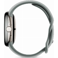 Умные часы Google Pixel Watch 2, 41мм, LTE, Champagne /Hazel, Gold, золотистый