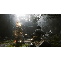 Игра Black Myth: Wukong для PS5