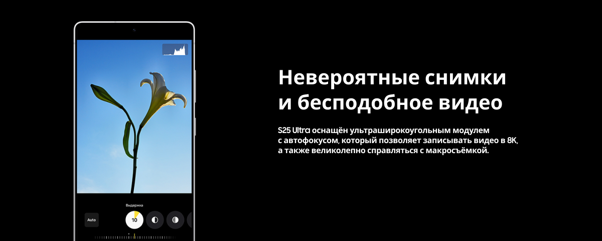 Смартфон Samsung Galaxy S25 Ultra 12/256 ГБ, Dual nano SIM, Gray, серый